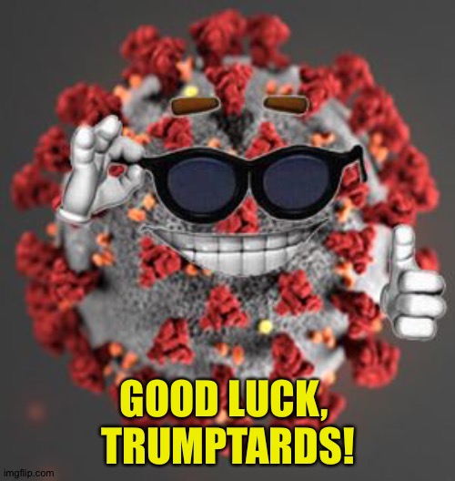 Coronavirus | GOOD LUCK, 
TRUMPTARDS! | image tagged in coronavirus | made w/ Imgflip meme maker