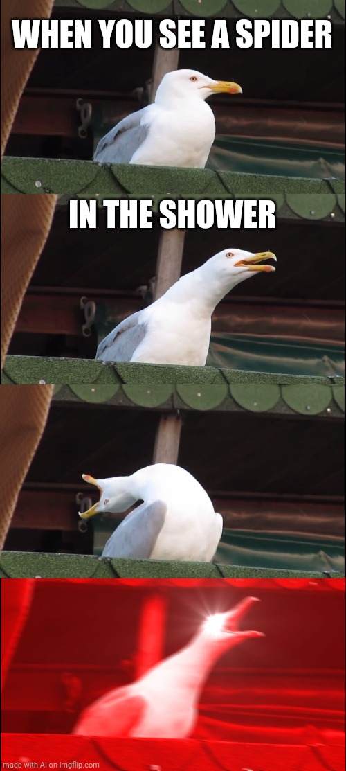 fckk | WHEN YOU SEE A SPIDER; IN THE SHOWER | image tagged in memes,inhaling seagull | made w/ Imgflip meme maker