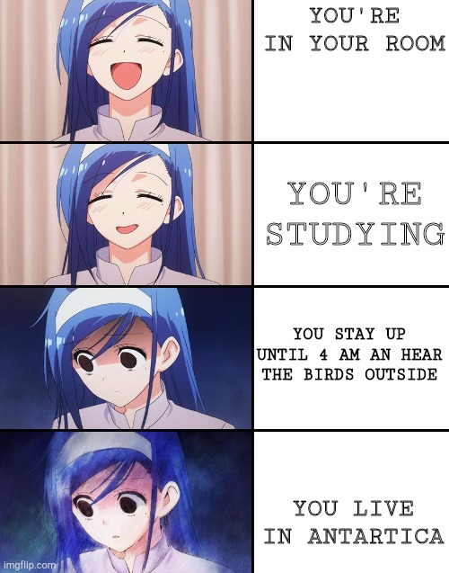 Happiness to despair | YOU'RE IN YOUR ROOM; YOU'RE STUDYING; YOU STAY UP UNTIL 4 AM AN HEAR THE BIRDS OUTSIDE; YOU LIVE IN ANTARTICA | image tagged in happiness to despair,school,studying | made w/ Imgflip meme maker
