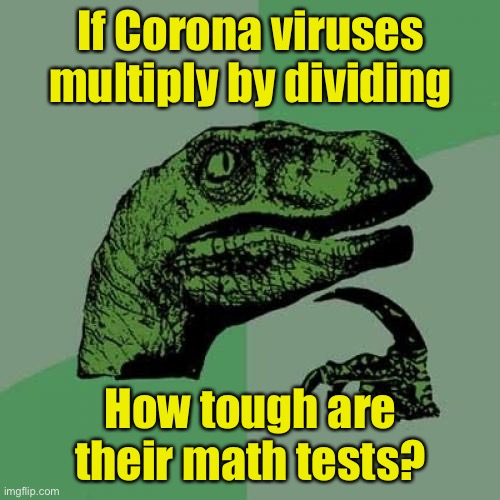 Philosoraptor | If Corona viruses multiply by dividing; How tough are their math tests? | image tagged in memes,philosoraptor,coronavirus | made w/ Imgflip meme maker