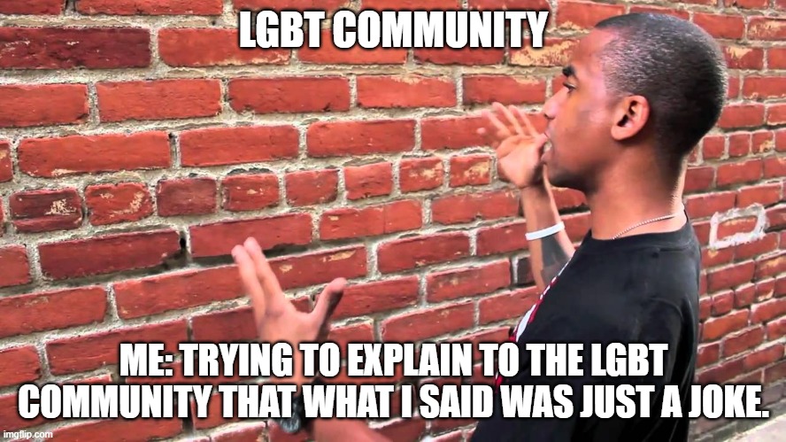 LGBT community against jokes | LGBT COMMUNITY; ME: TRYING TO EXPLAIN TO THE LGBT COMMUNITY THAT WHAT I SAID WAS JUST A JOKE. | image tagged in talking to wall | made w/ Imgflip meme maker