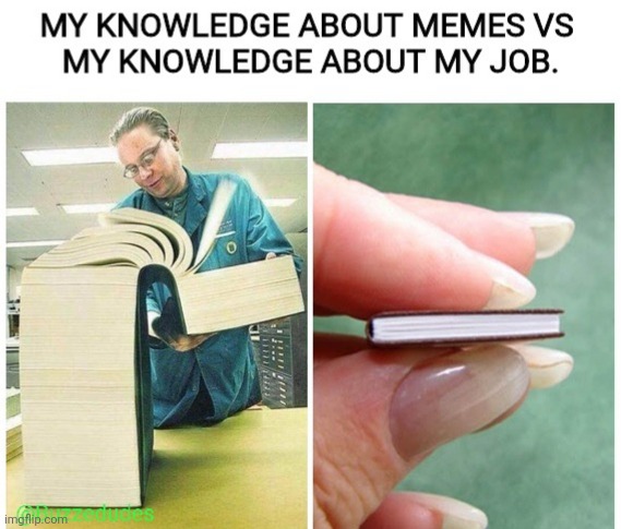 Large book small book | image tagged in book meme,memes,funny memes,dankmemes | made w/ Imgflip meme maker