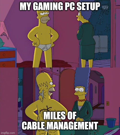 Homer Simpson's Back Fat | MY GAMING PC SETUP; MILES OF CABLE MANAGEMENT | image tagged in homer simpson's back fat,gaming pc,pc gaming,cable management | made w/ Imgflip meme maker