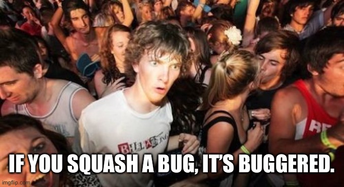 Sudden Clarity Clarence Meme | IF YOU SQUASH A BUG, IT’S BUGGERED. | image tagged in memes,sudden clarity clarence | made w/ Imgflip meme maker