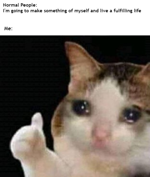 Sad Cat | Normal People: 
I'm going to make something of myself and live a fulfilling life; Me: | image tagged in sad,cat,depression,meirl,cry,ironic | made w/ Imgflip meme maker