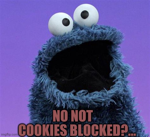 cookie monster | NO NOT COOKIES BLOCKED?... | image tagged in cookie monster | made w/ Imgflip meme maker