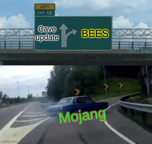 update | Cave update; BEES; Mojang | image tagged in memes,left exit 12 off ramp | made w/ Imgflip meme maker