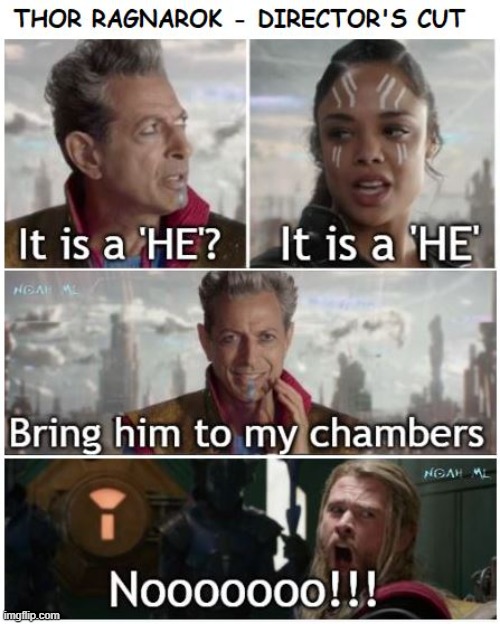 Ragnarok Director's Cut | image tagged in thor,ragnarok,director's cut | made w/ Imgflip meme maker