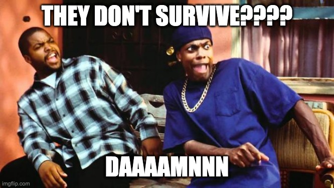 THEY DON'T SURVIVE???? DAAAAMNNN | image tagged in ice cube damn | made w/ Imgflip meme maker