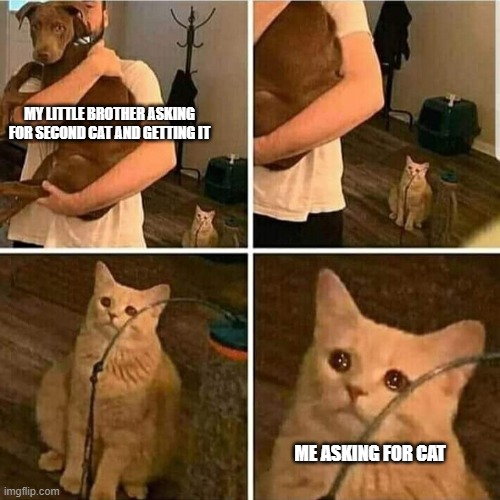 Title | MY LITTLE BROTHER ASKING FOR SECOND CAT AND GETTING IT; ME ASKING FOR CAT | image tagged in sad cat holding dog | made w/ Imgflip meme maker