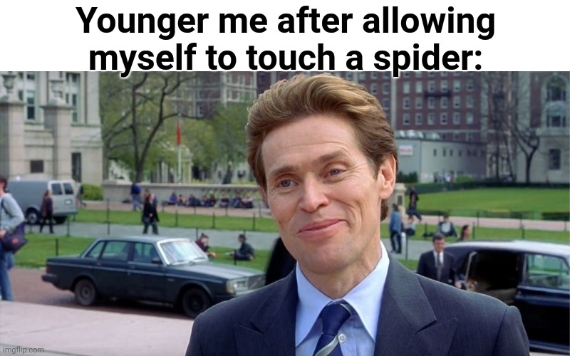 I used to be afraid, but now I'm not afraid... of house spiders | Younger me after allowing myself to touch a spider: | image tagged in you know i'm something of a scientist myself,memes | made w/ Imgflip meme maker
