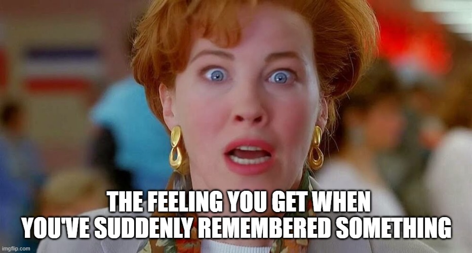 The feeling you get when you've remembered something | THE FEELING YOU GET WHEN YOU'VE SUDDENLY REMEMBERED SOMETHING | image tagged in home alone we forgot kevin | made w/ Imgflip meme maker