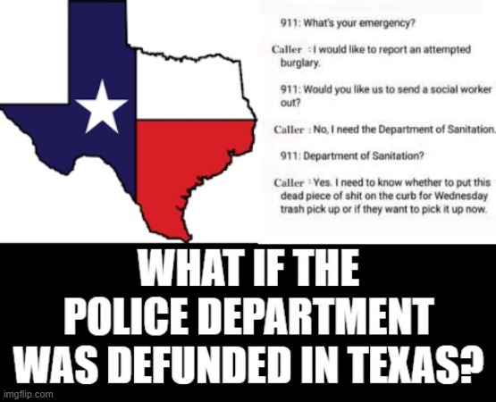 What If They Defunded The Police In Texas? | image tagged in stupid liberals | made w/ Imgflip meme maker