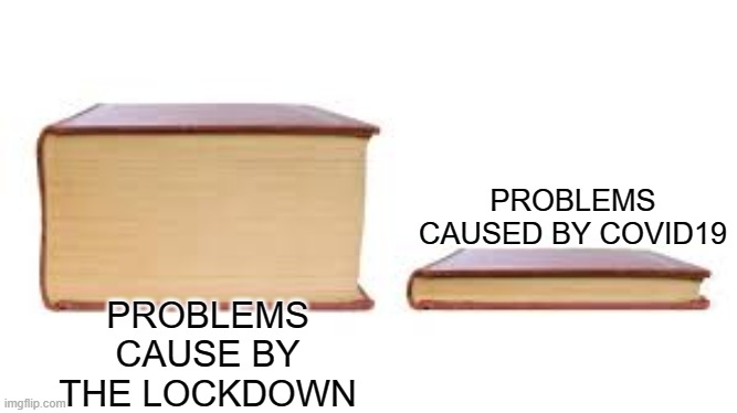 Lockdown Reality | PROBLEMS CAUSED BY COVID19; PROBLEMS CAUSE BY THE LOCKDOWN | image tagged in big book small book | made w/ Imgflip meme maker