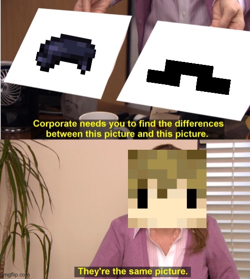 They are the same | image tagged in memes,they're the same picture,hermitcraft | made w/ Imgflip meme maker