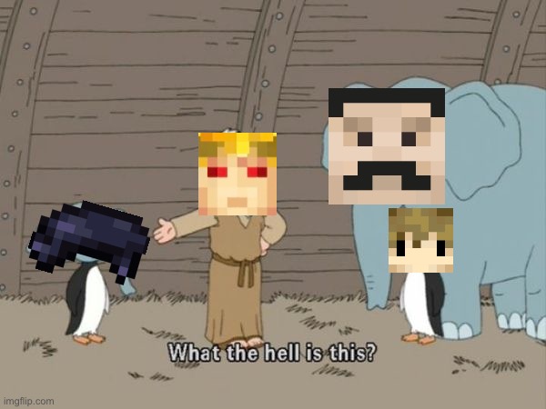 Tango : What the hell are these? | image tagged in what the hell is this,hermitcraft,memes | made w/ Imgflip meme maker