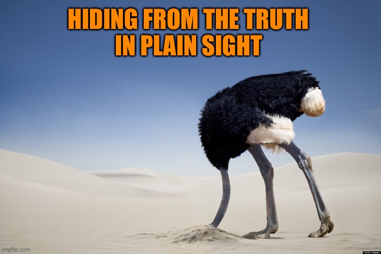 Ostrich head in sand | HIDING FROM THE TRUTH 
IN PLAIN SIGHT | image tagged in ostrich head in sand | made w/ Imgflip meme maker