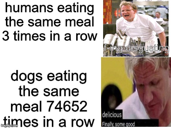 Blank White Template | humans eating the same meal 3 times in a row; f-ing disgusting; dogs eating the same meal 74652 times in a row | image tagged in funny memes,memes,chef gordon ramsay,relatable | made w/ Imgflip meme maker