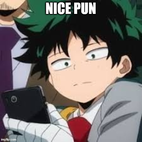 Deku dissapointed | NICE PUN | image tagged in deku dissapointed | made w/ Imgflip meme maker