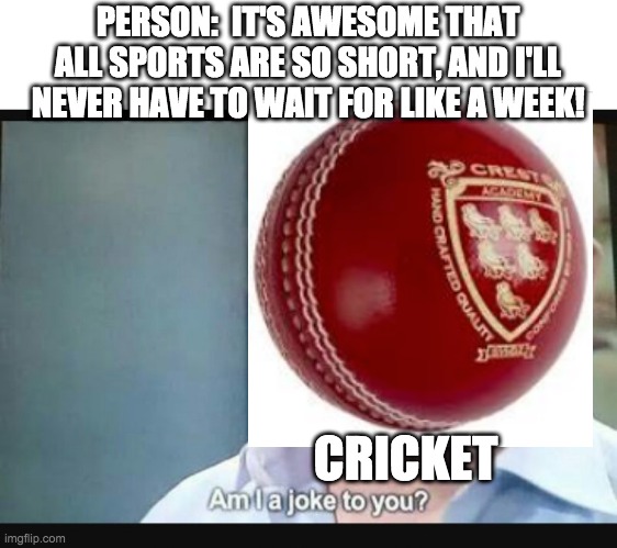 Long sports | PERSON:  IT'S AWESOME THAT ALL SPORTS ARE SO SHORT, AND I'LL NEVER HAVE TO WAIT FOR LIKE A WEEK! CRICKET | image tagged in am i a joke to you | made w/ Imgflip meme maker