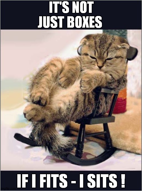 A Cats Comfy Chair | IT'S NOT JUST BOXES; IF I FITS - I SITS ! | image tagged in cats,chair,boxes | made w/ Imgflip meme maker