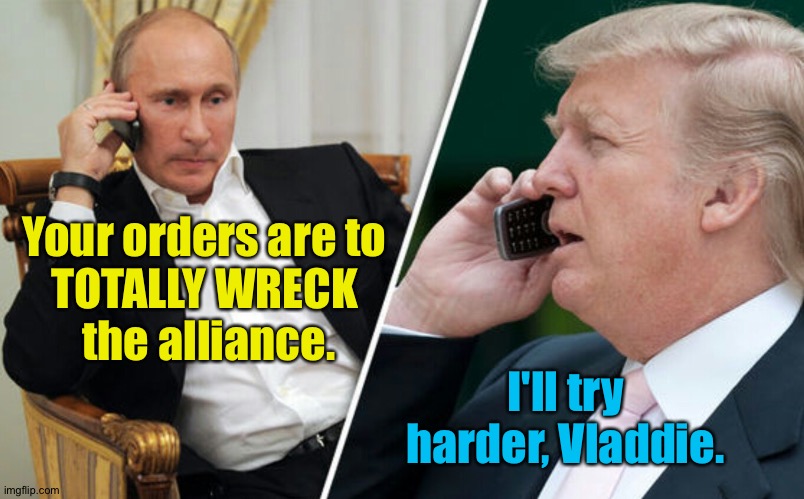 Putin/Trump phone call | Your orders are to 
TOTALLY WRECK 
the alliance. I'll try harder, Vladdie. | image tagged in putin/trump phone call | made w/ Imgflip meme maker