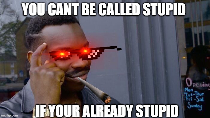 Roll Safe Think About It Meme | YOU CANT BE CALLED STUPID; IF YOUR ALREADY STUPID | image tagged in memes,roll safe think about it | made w/ Imgflip meme maker