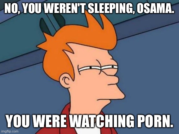 Futurama Fry Meme | NO, YOU WEREN'T SLEEPING, OSAMA. YOU WERE WATCHING PORN. | image tagged in memes,futurama fry | made w/ Imgflip meme maker