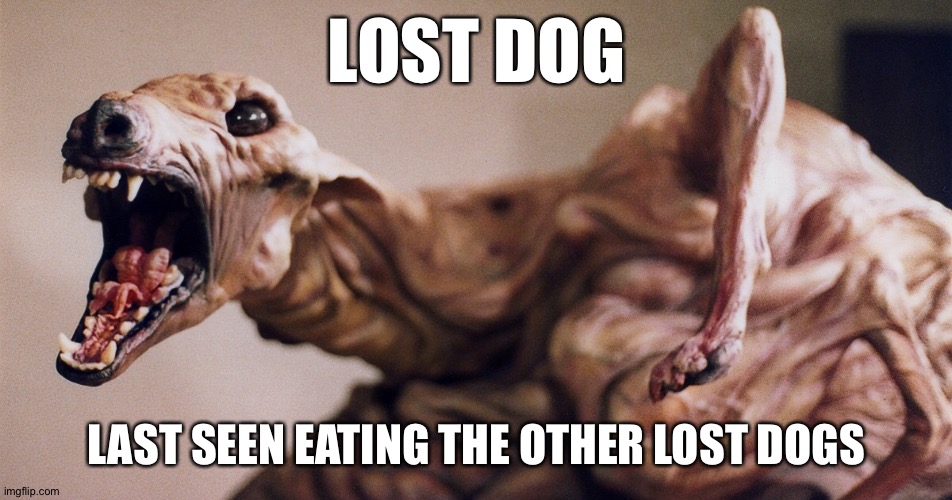 lost dog | LOST DOG; LAST SEEN EATING THE OTHER LOST DOGS | image tagged in lost,dog,lost dog,the thing,horror,john carpenter | made w/ Imgflip meme maker