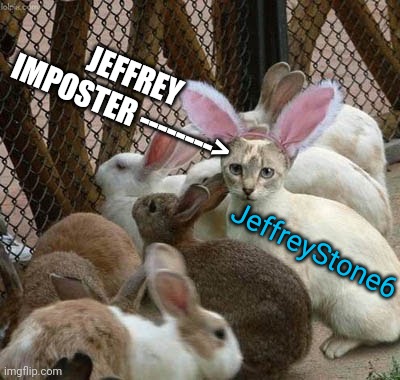 Imposter  | JEFFREY IMPOSTER -------->; JeffreyStone6 | image tagged in imposter | made w/ Imgflip meme maker