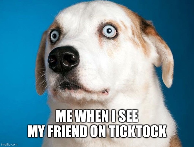 Ticktock | ME WHEN I SEE MY FRIEND ON TICKTOCK | image tagged in memes | made w/ Imgflip meme maker