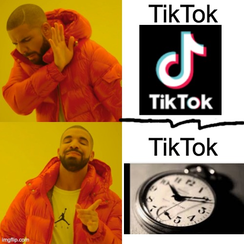 The Real TikTok | TikTok; TikTok | image tagged in memes,drake hotline bling | made w/ Imgflip meme maker