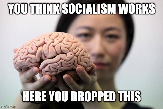 Brain dead | YOU THINK SOCIALISM WORKS; HERE YOU DROPPED THIS | image tagged in brain,socialism,libertarianmeme | made w/ Imgflip meme maker