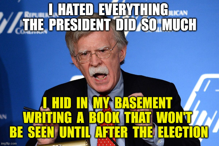 Loves his country? | I  HATED  EVERYTHING  THE  PRESIDENT  DID  SO  MUCH; I  HID  IN  MY  BASEMENT  WRITING  A  BOOK  THAT  WON'T  BE  SEEN  UNTIL  AFTER  THE  ELECTION | image tagged in john bolton - wacko,trump,impeachment | made w/ Imgflip meme maker