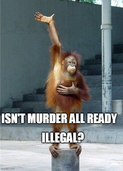 Monkey Raising Hand | ISN'T MURDER ALL READY ILLEGAL? | image tagged in monkey raising hand | made w/ Imgflip meme maker