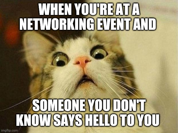 Scared Cat Meme | WHEN YOU'RE AT A NETWORKING EVENT AND; SOMEONE YOU DON'T KNOW SAYS HELLO TO YOU | image tagged in memes,scared cat | made w/ Imgflip meme maker