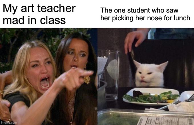 Woman yelling at cat | My art teacher mad in class; The one student who saw her picking her nose for lunch | image tagged in memes,woman yelling at cat | made w/ Imgflip meme maker