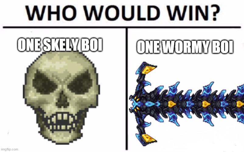 one skely boy vs one wormy boy | ONE SKELY BOI; ONE WORMY BOI | image tagged in memes,funny,who would win,terraria,calamity mod | made w/ Imgflip meme maker