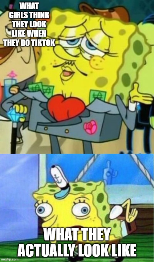 It's so true | WHAT GIRLS THINK THEY LOOK LIKE WHEN THEY DO TIKTOK; WHAT THEY ACTUALLY LOOK LIKE | image tagged in memes,mocking spongebob,fancy spongebob | made w/ Imgflip meme maker