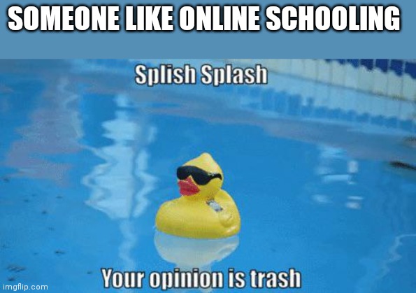 Splish Splash your opinion is trash | SOMEONE LIKE ONLINE SCHOOLING | image tagged in splish splash your opinion is trash | made w/ Imgflip meme maker