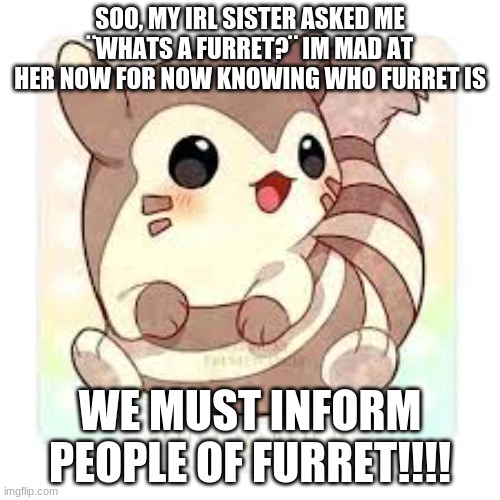 REALLY?!?!? SHE DOESNT KNOW WHO FURRET IS!!!  | SOO, MY IRL SISTER ASKED ME ¨WHATS A FURRET?¨ IM MAD AT HER NOW FOR NOW KNOWING WHO FURRET IS; WE MUST INFORM PEOPLE OF FURRET!!!! | image tagged in baby furret | made w/ Imgflip meme maker