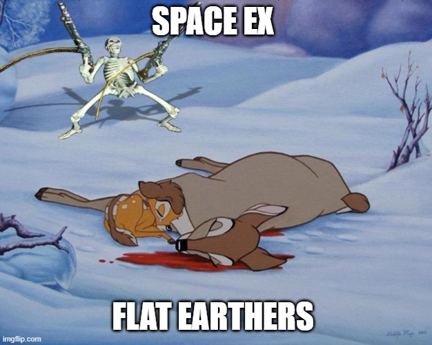 skeleton with guns and bambi |  SPACE EX; FLAT EARTHERS | image tagged in skeleton with guns and bambi | made w/ Imgflip meme maker