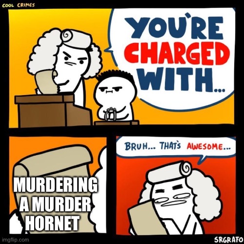 cool crimes | MURDERING A MURDER HORNET | image tagged in cool crimes,murder hornet | made w/ Imgflip meme maker