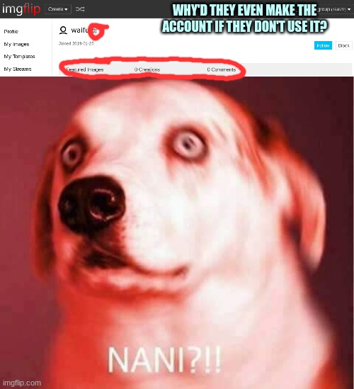 But why? | WHY'D THEY EVEN MAKE THE ACCOUNT IF THEY DON'T USE IT? | image tagged in nani | made w/ Imgflip meme maker
