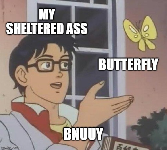 Is This A Pigeon Meme | MY SHELTERED ASS; BUTTERFLY; BNUUY | image tagged in memes,is this a pigeon | made w/ Imgflip meme maker