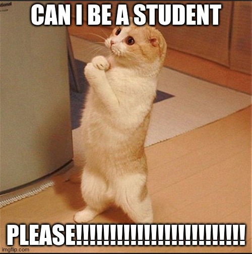 i want to be a studemt | CAN I BE A STUDENT; PLEASE!!!!!!!!!!!!!!!!!!!!!!!!! | image tagged in can i has food | made w/ Imgflip meme maker