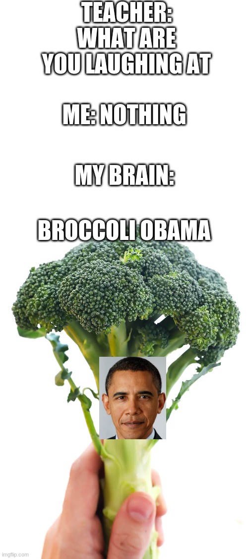 TEACHER: WHAT ARE YOU LAUGHING AT; ME: NOTHING; MY BRAIN:; BROCCOLI OBAMA | image tagged in blank white template | made w/ Imgflip meme maker