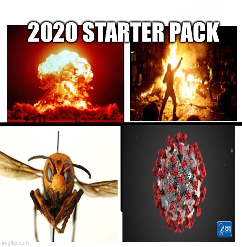 2020 |  2020 STARTER PACK | image tagged in memes,blank starter pack,2020,fun,coronavirus,murder hornets | made w/ Imgflip meme maker