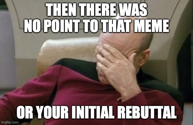 Captain Picard Facepalm Meme | THEN THERE WAS NO POINT TO THAT MEME OR YOUR INITIAL REBUTTAL | image tagged in memes,captain picard facepalm | made w/ Imgflip meme maker