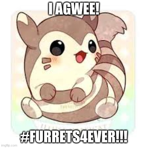 baby furret! | I AGWEE! #FURRETS4EVER!!! | image tagged in baby furret | made w/ Imgflip meme maker